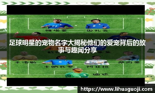 足球明星的宠物名字大揭秘他们的爱宠背后的故事与趣闻分享