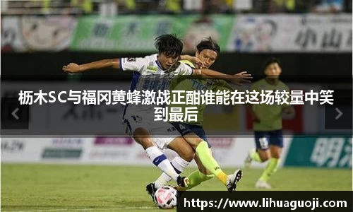 枥木SC与福冈黄蜂激战正酣谁能在这场较量中笑到最后