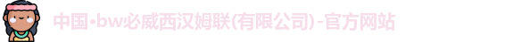 中国·bw必威西汉姆联(有限公司)-官方网站